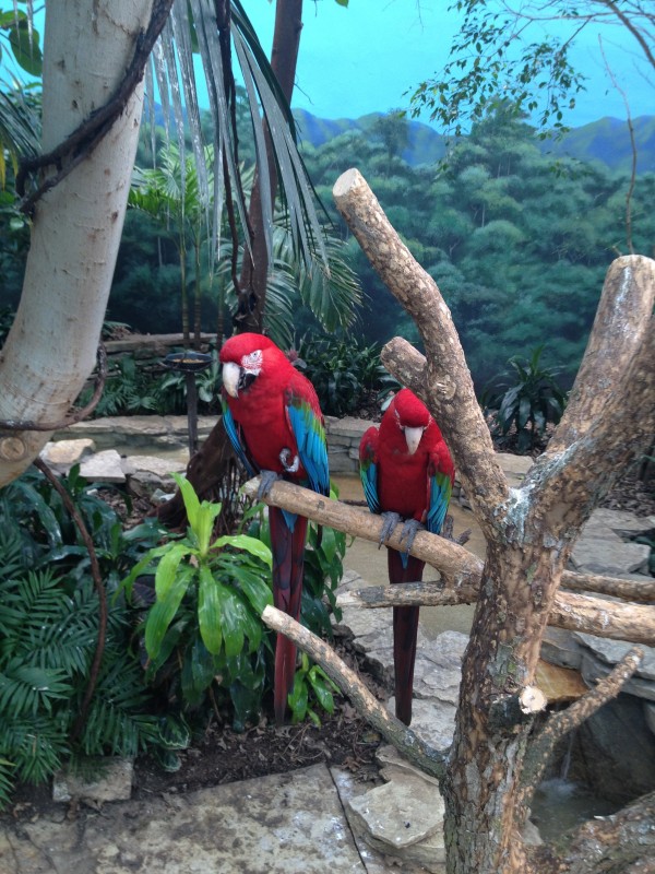 Getting in the mood - keep the singing birds in your marriage
