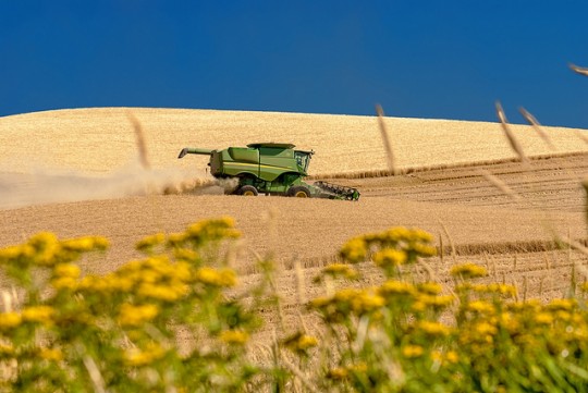 Harvest