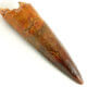 Spinosaurus Tooth
