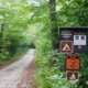 Bartlett Experimental Forest, off Bear Notch Road ~ MarriageHeat